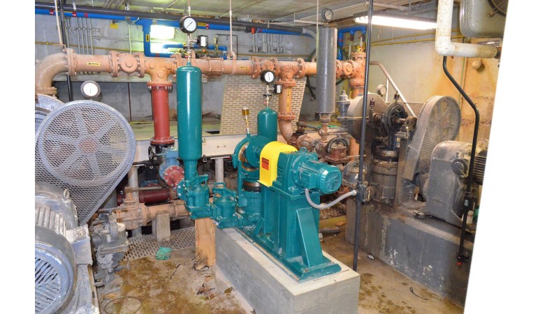 PE 81/941 Simplex Plunger Pump 0