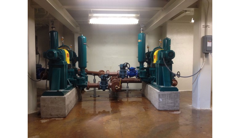 PE 82/942 Plunger Pump 0