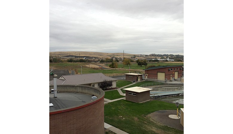 Primary Sludge Pumps