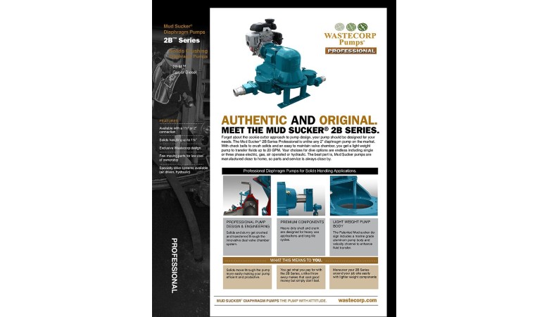 2B Professional Pump