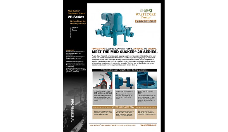 Professional Electric Diaphragm Pump
